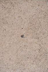 Similar image 21154099