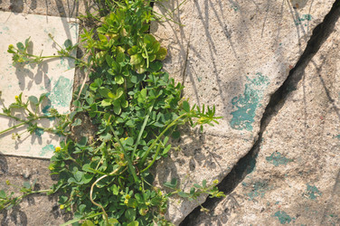 Similar image 21154101