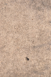 Similar image 21154105