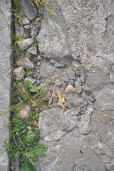 Similar image 21154107