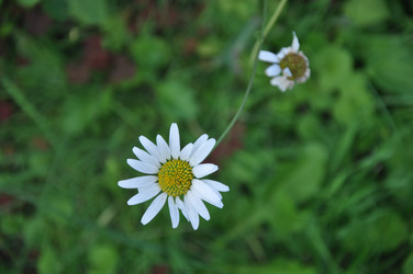 Similar image 21154115