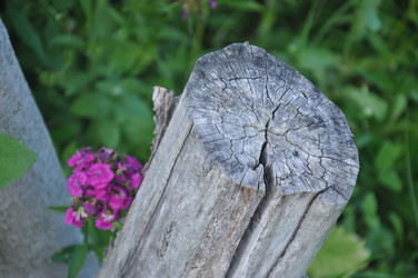 Similar image 21154117