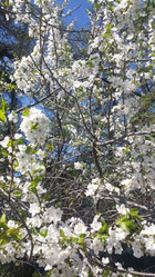 Similar image 21154123