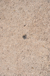 Similar image 21154127