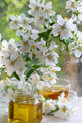 Similar image 21149149