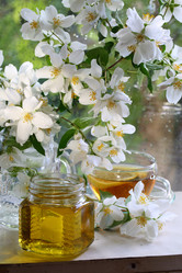 Similar image 21149150