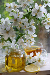 Similar image 21149151