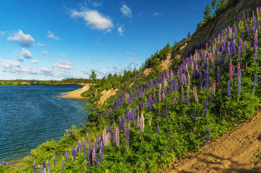 Similar image 21156682