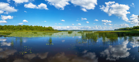 Similar image 21156685