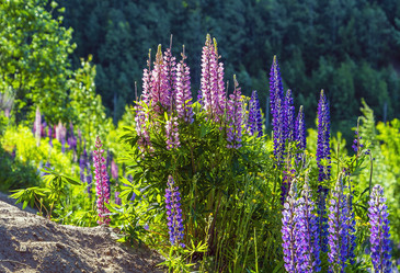 Similar image 21156686