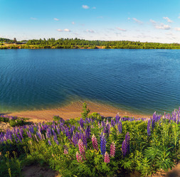 Similar image 21156688