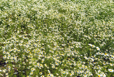 Similar image 21156689