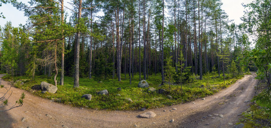 Similar image 21156693