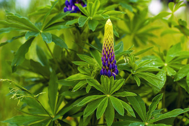 Similar image 21156695