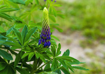 Similar image 21151932