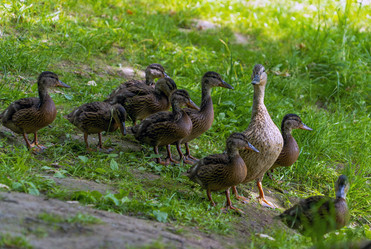 Similar image 21151944