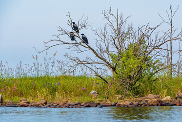 Similar image 21151950