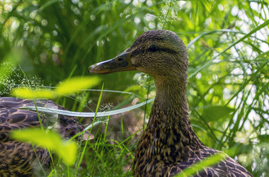 Similar image 21151952