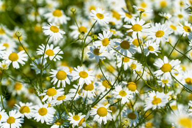 Similar image 21151954