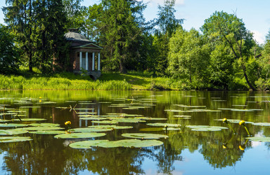 Similar image 21151955