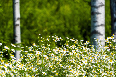 Similar image 21151958