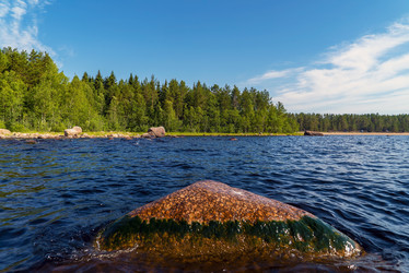 Similar image 21151961