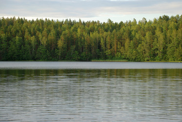 Similar image 21175608