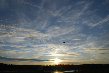 Similar image 21175610