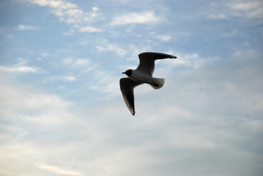 Similar image 21175613