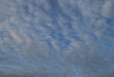 Similar image 21175621