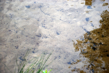 Similar image 21175622