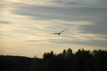 Similar image 21175624