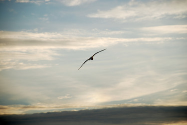 Similar image 21175630