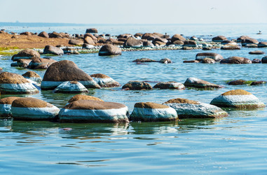 Similar image 21156697