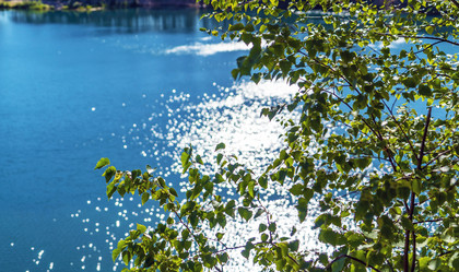 Similar image 21156713