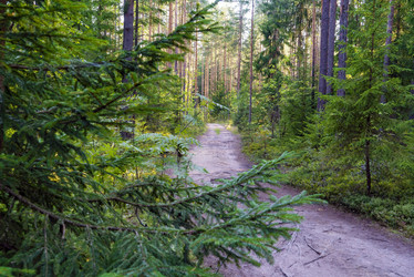 Similar image 21156714