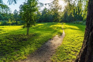 Similar image 21156718