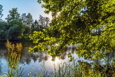 Similar image 21156720