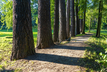 Similar image 21156722