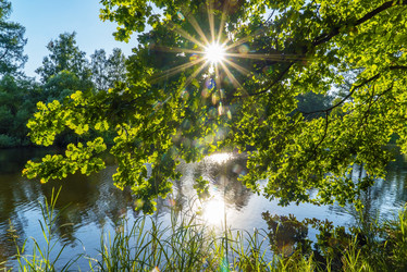 Similar image 21156728