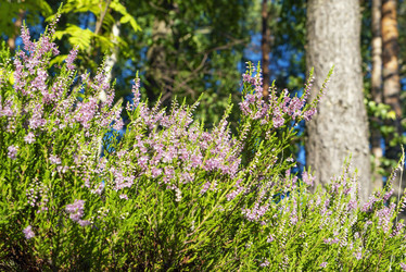 Similar image 21156731