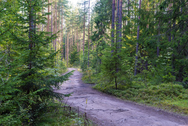 Similar image 21156742