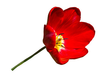 Similar image 21150150