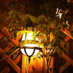 Similar image 21150155