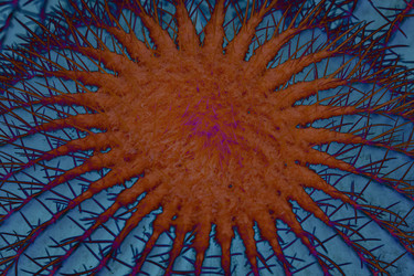 Similar image 21150160