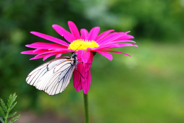 Similar image 21154241