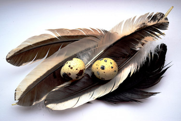 Similar image 21154248