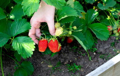 Similar image 21150318