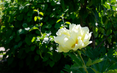 Similar image 21168180