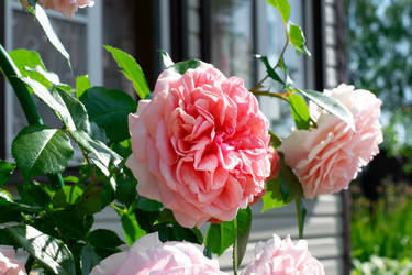 Similar image 21168181